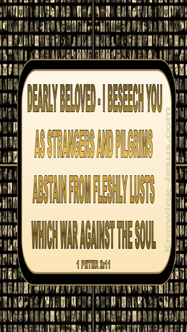 1 Peter 2:11 Abstain From Fleshly Lusts (gold)
